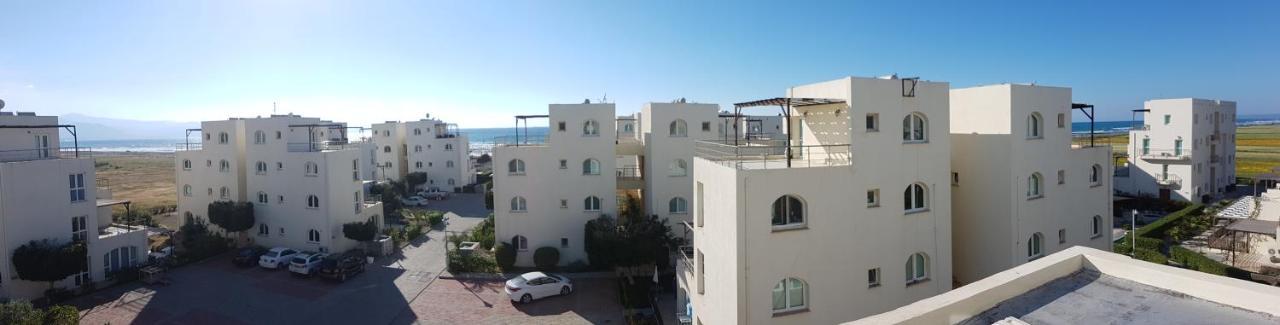 Aphrodite Beachfront Penthouse Apartment Ghaziveran Eksteriør bilde