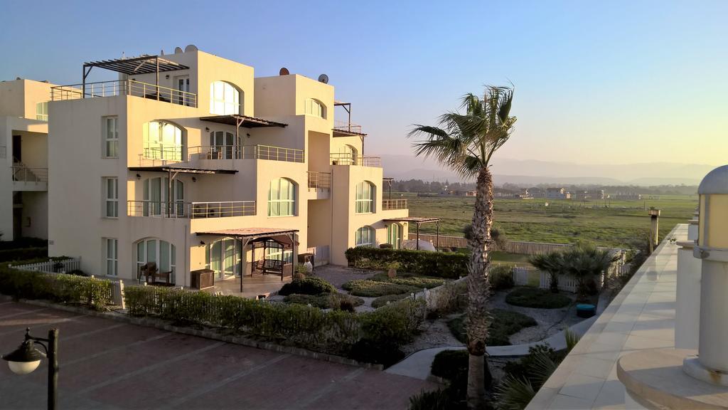 Aphrodite Beachfront Penthouse Apartment Ghaziveran Eksteriør bilde