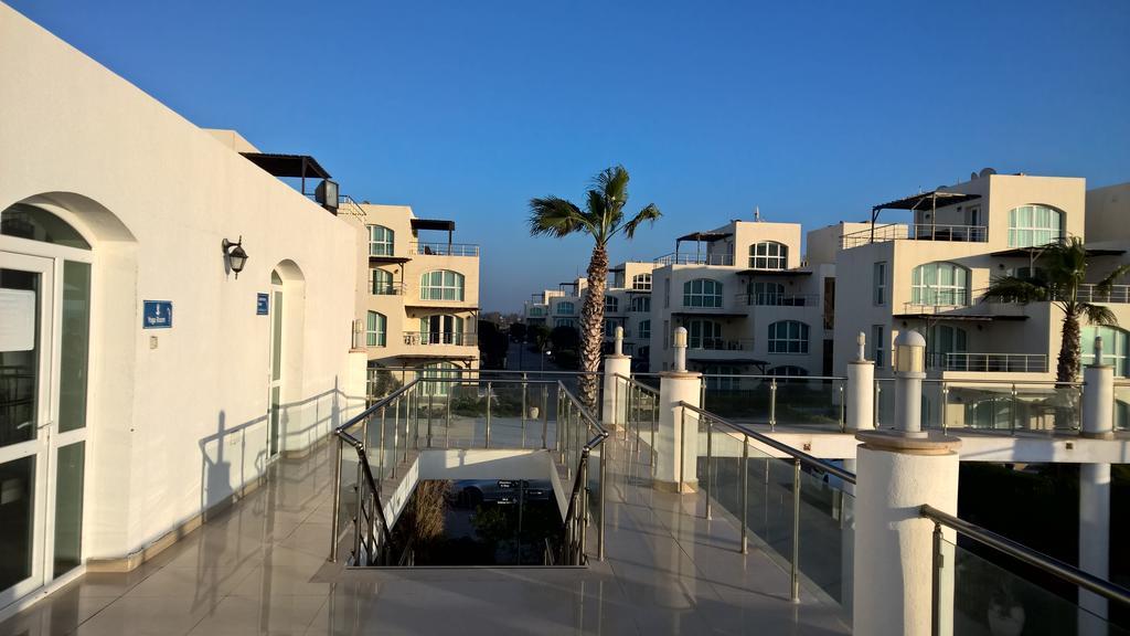 Aphrodite Beachfront Penthouse Apartment Ghaziveran Eksteriør bilde