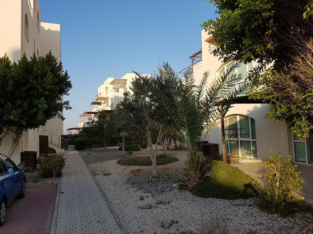 Aphrodite Beachfront Penthouse Apartment Ghaziveran Eksteriør bilde