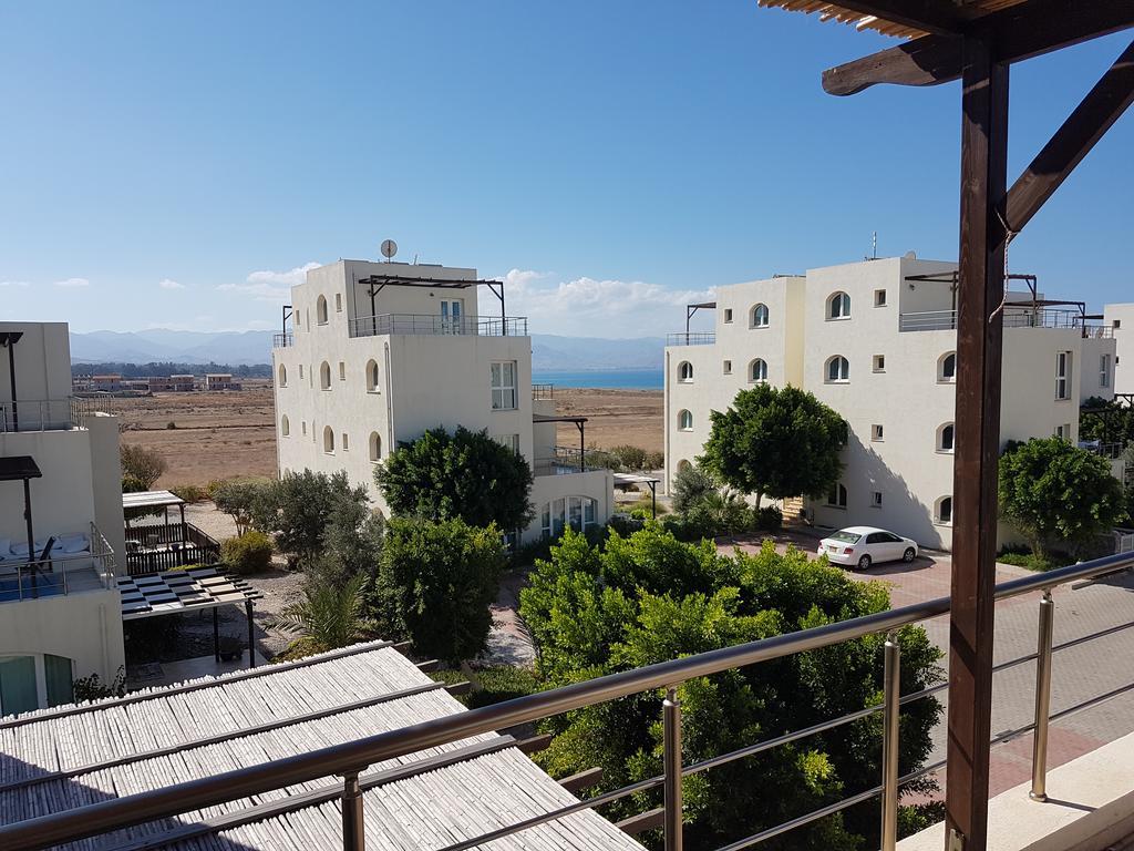 Aphrodite Beachfront Penthouse Apartment Ghaziveran Eksteriør bilde